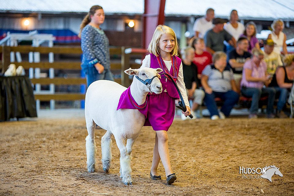 LCFair2016-7430.jpg