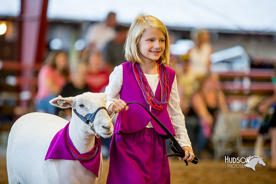 LCFair2016-7431.jpg