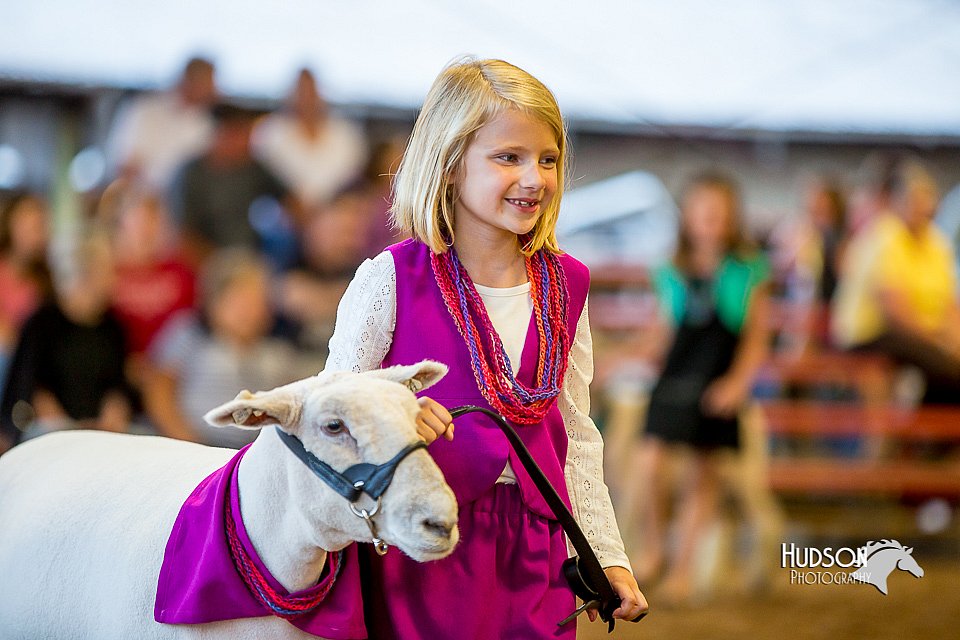 LCFair2016-7432.jpg