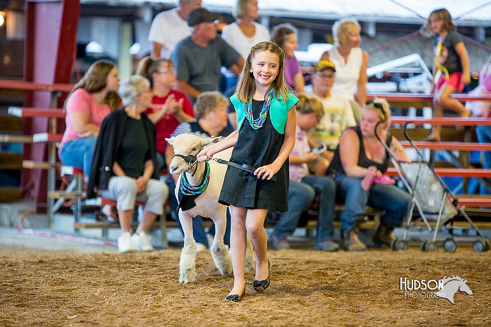 LCFair2016-7434.jpg