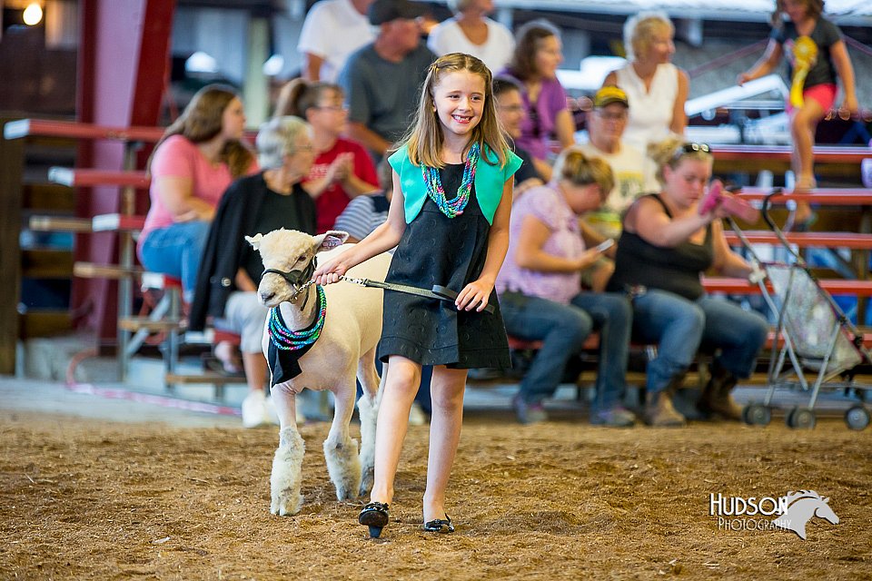 LCFair2016-7435.jpg