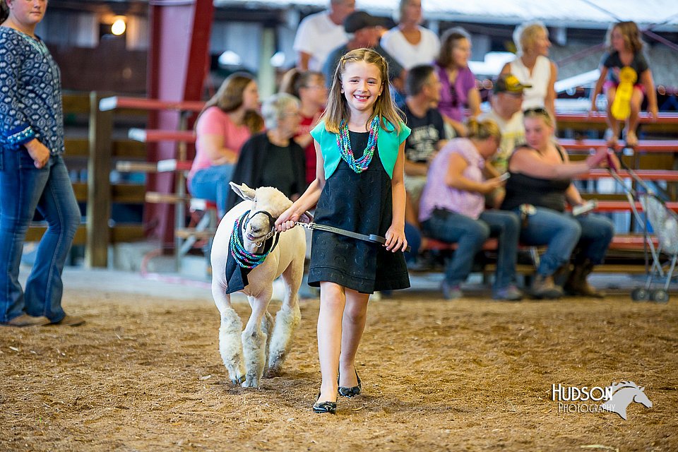 LCFair2016-7436.jpg