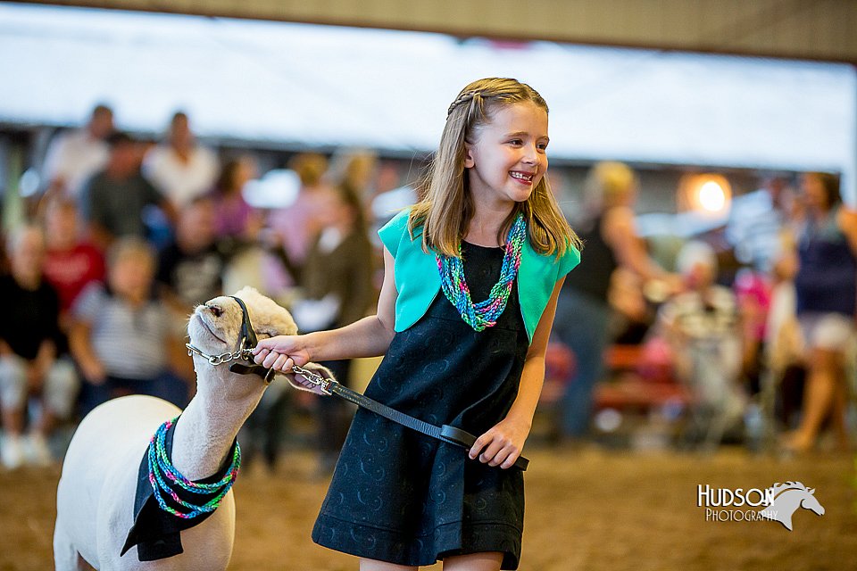 LCFair2016-7438.jpg