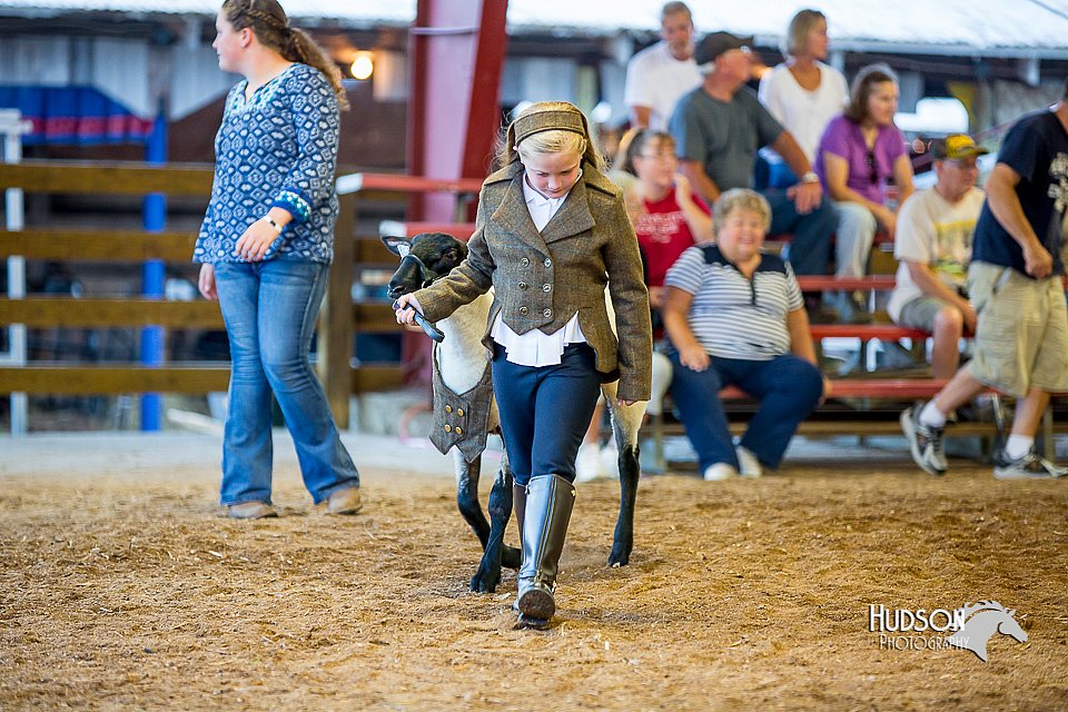 LCFair2016-7439.jpg