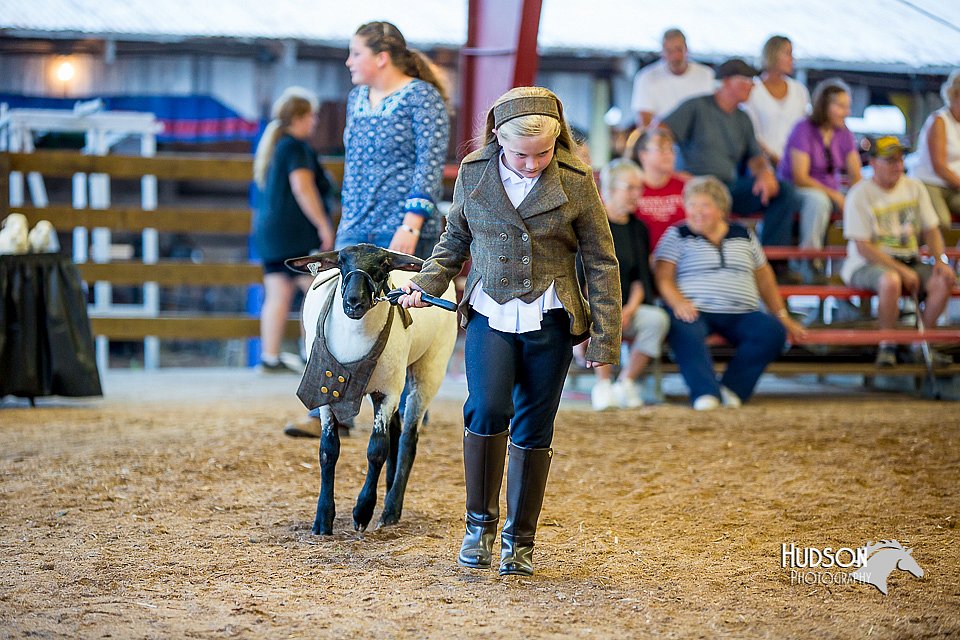 LCFair2016-7440.jpg