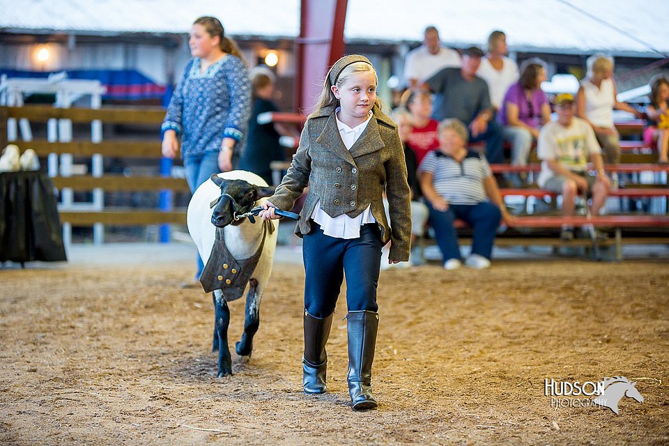 LCFair2016-7441.jpg