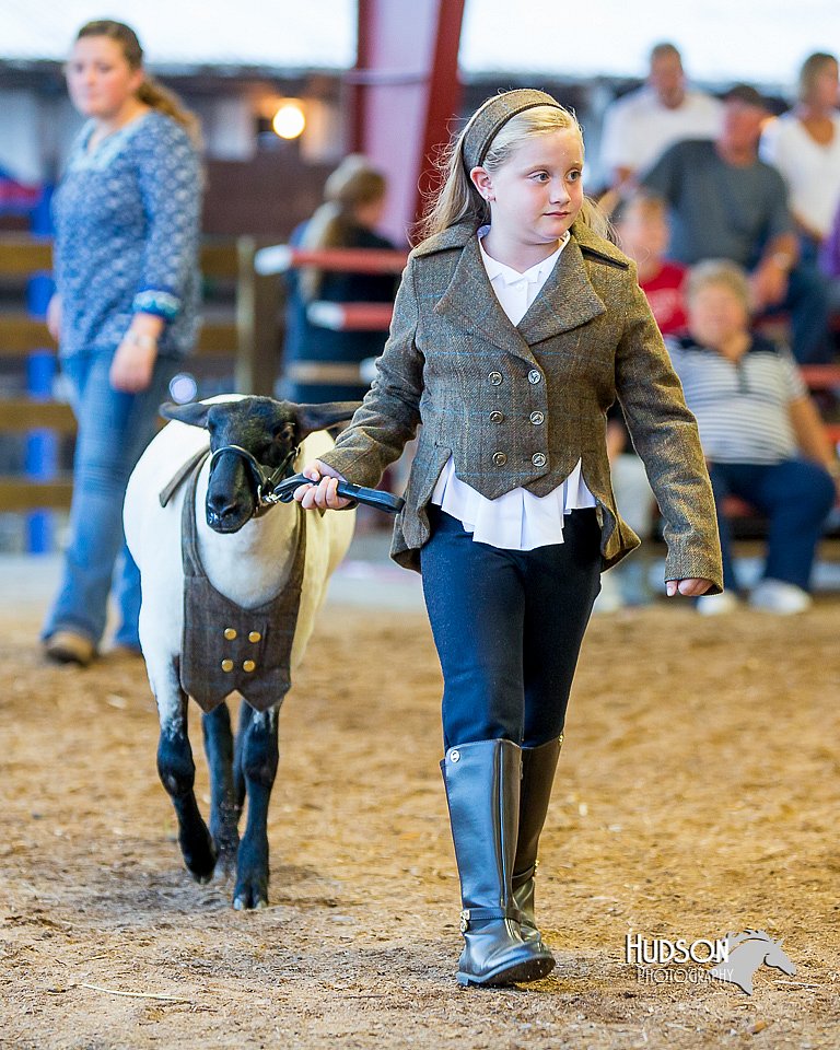 LCFair2016-7442.jpg