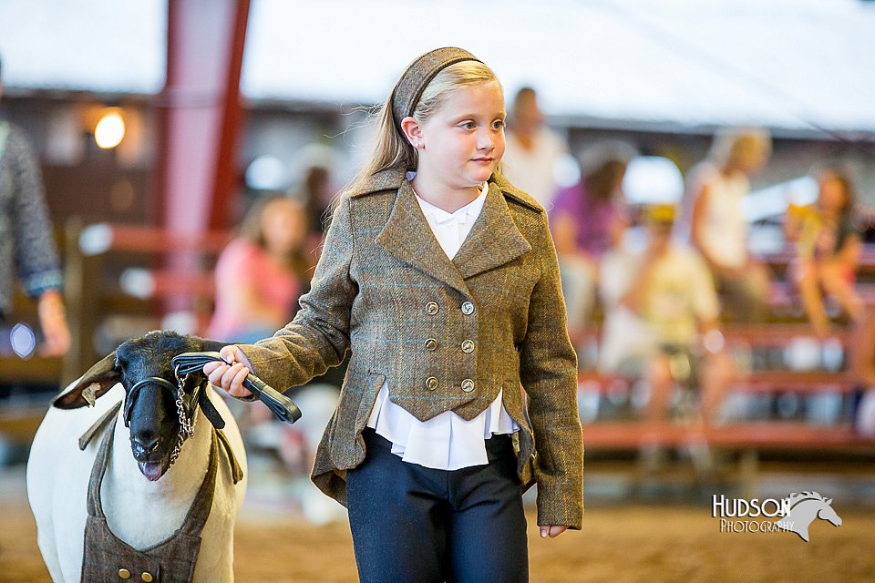 LCFair2016-7443.jpg