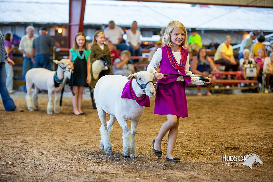 LCFair2016-7445.jpg