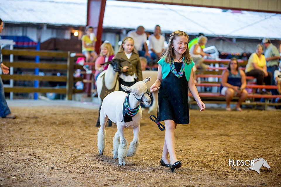 LCFair2016-7456.jpg