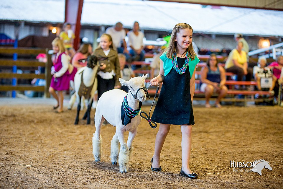 LCFair2016-7457.jpg