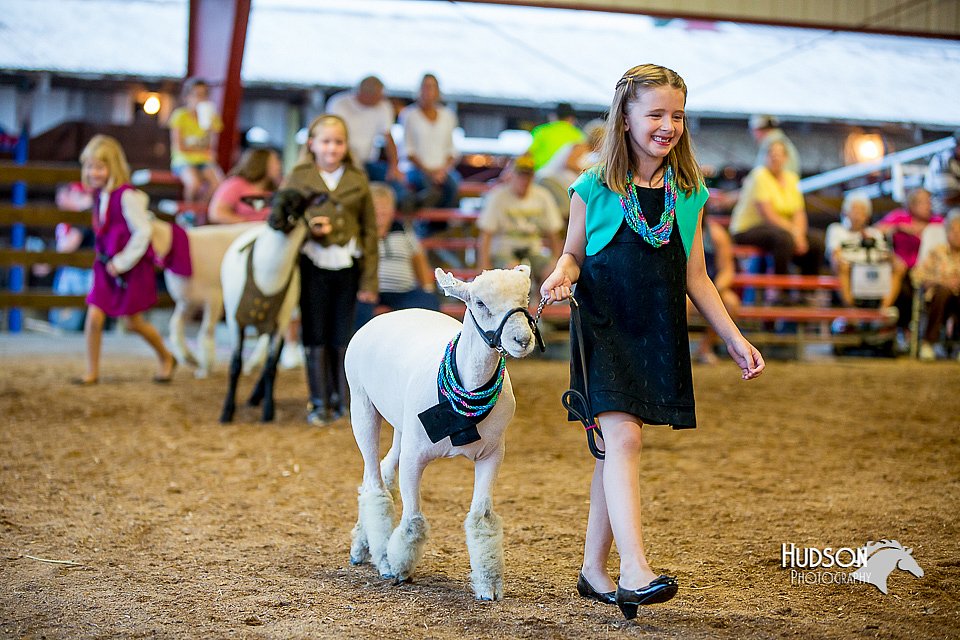 LCFair2016-7458.jpg
