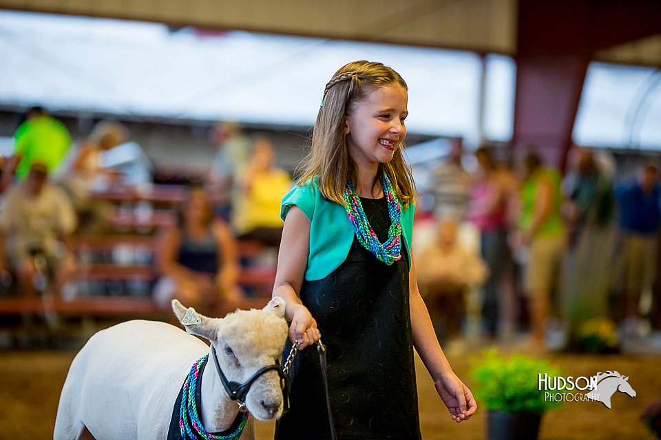 LCFair2016-7459.jpg