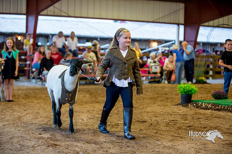 LCFair2016-7468.jpg