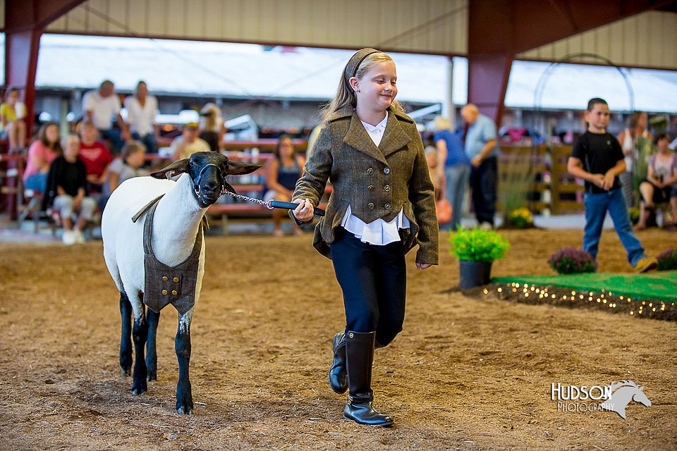 LCFair2016-7469.jpg
