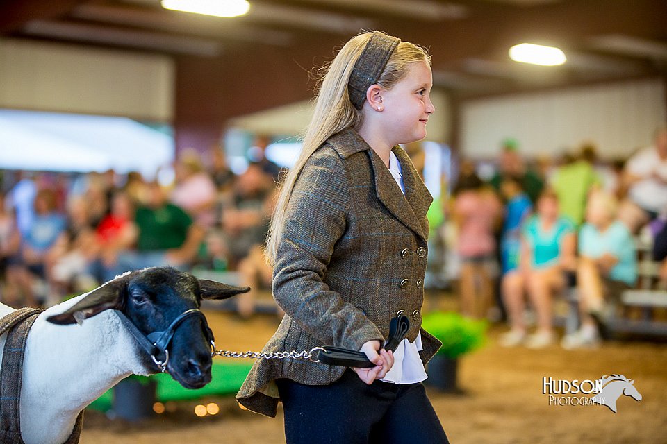LCFair2016-7470.jpg