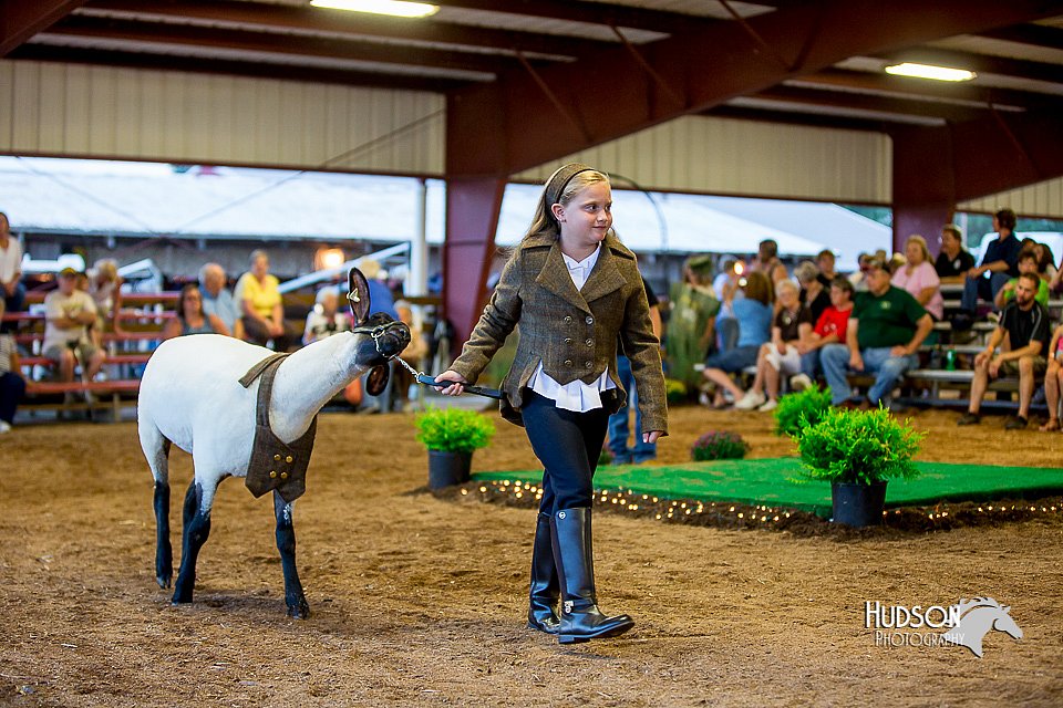 LCFair2016-7473.jpg