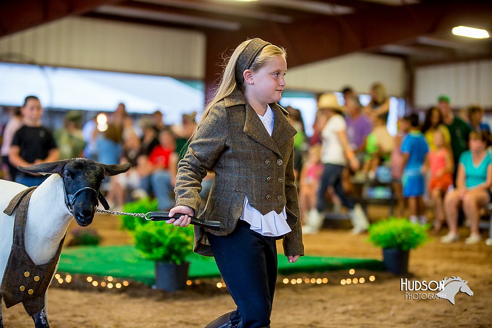 LCFair2016-7474.jpg