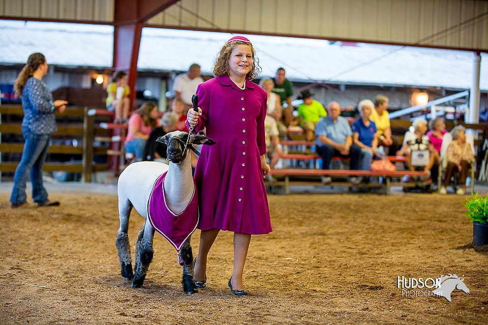 LCFair2016-7484.jpg