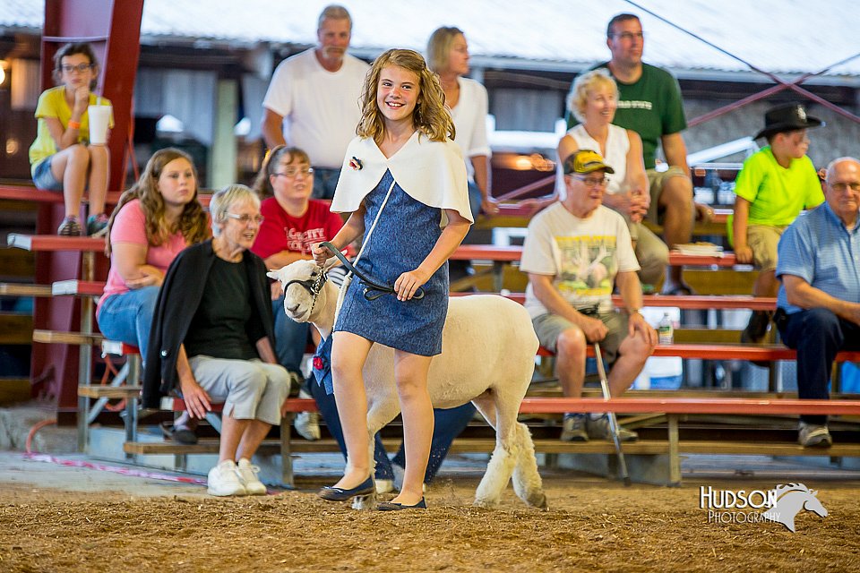 LCFair2016-7490.jpg