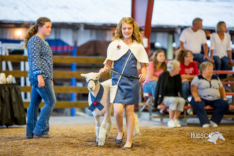 LCFair2016-7491.jpg