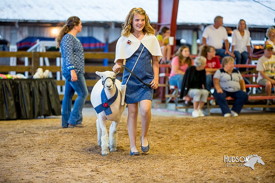 LCFair2016-7492.jpg