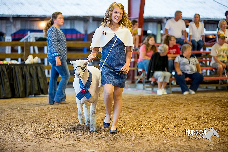 LCFair2016-7493.jpg