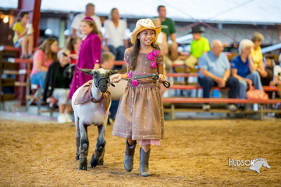 LCFair2016-7496.jpg