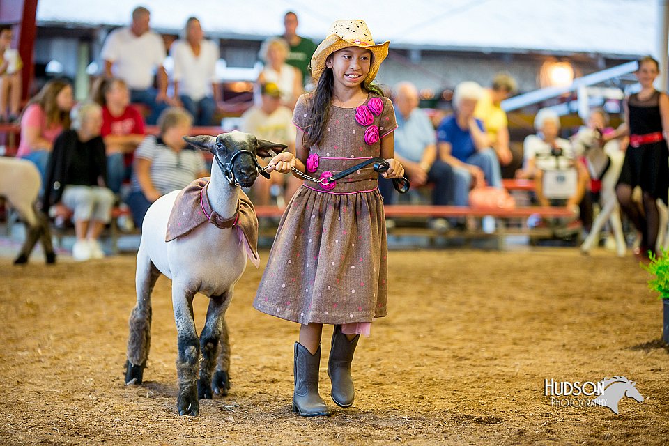 LCFair2016-7497.jpg