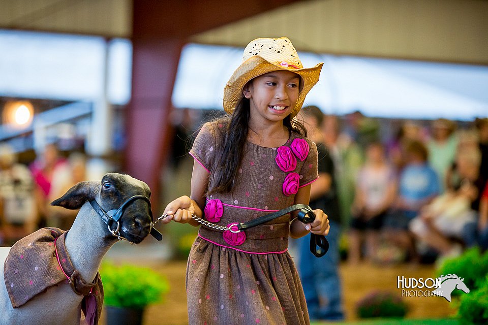 LCFair2016-7498.jpg