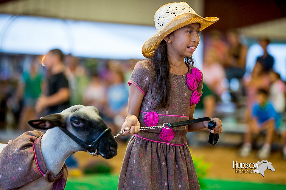 LCFair2016-7499.jpg