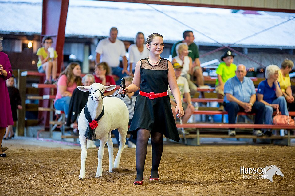 LCFair2016-7500.jpg