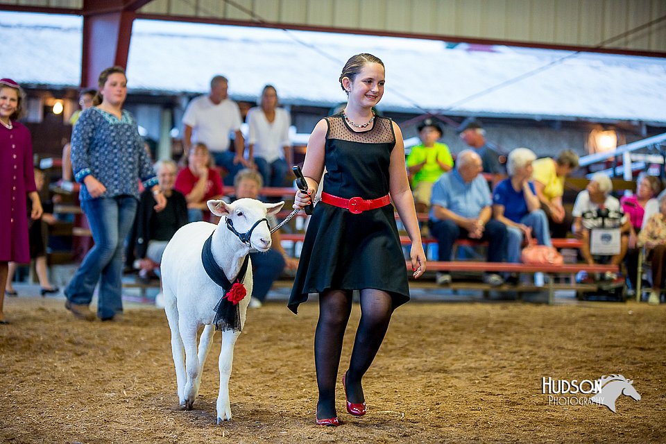 LCFair2016-7501.jpg