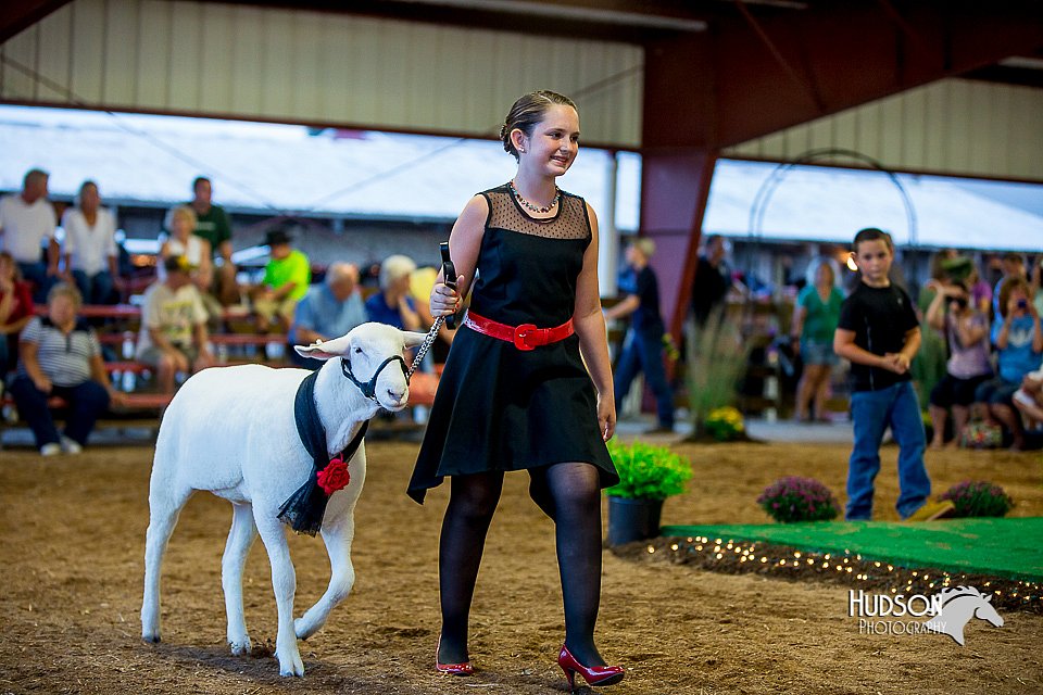 LCFair2016-7502.jpg