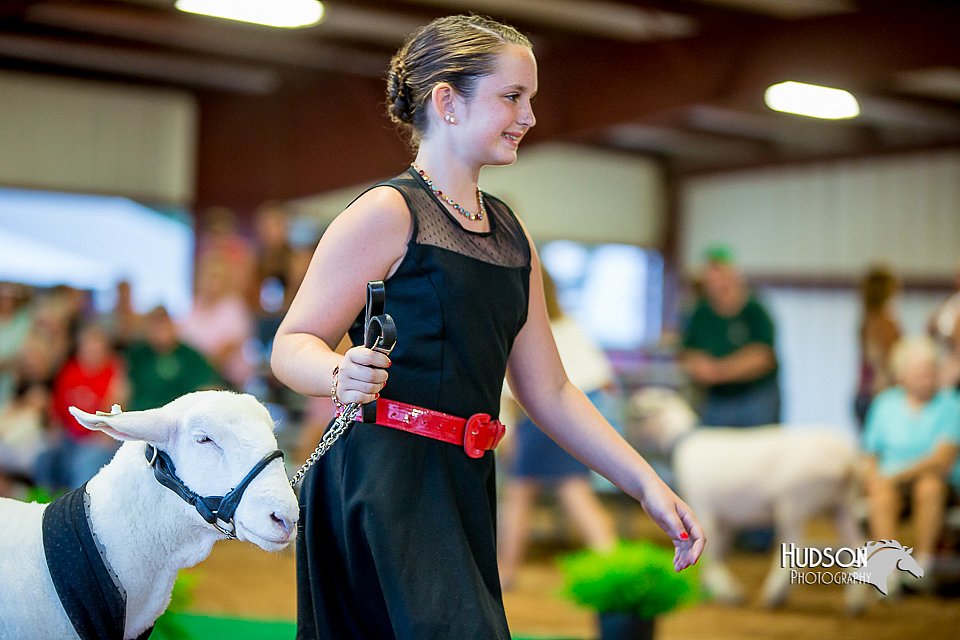 LCFair2016-7503.jpg