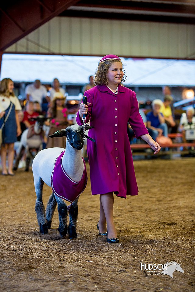 LCFair2016-7505.jpg