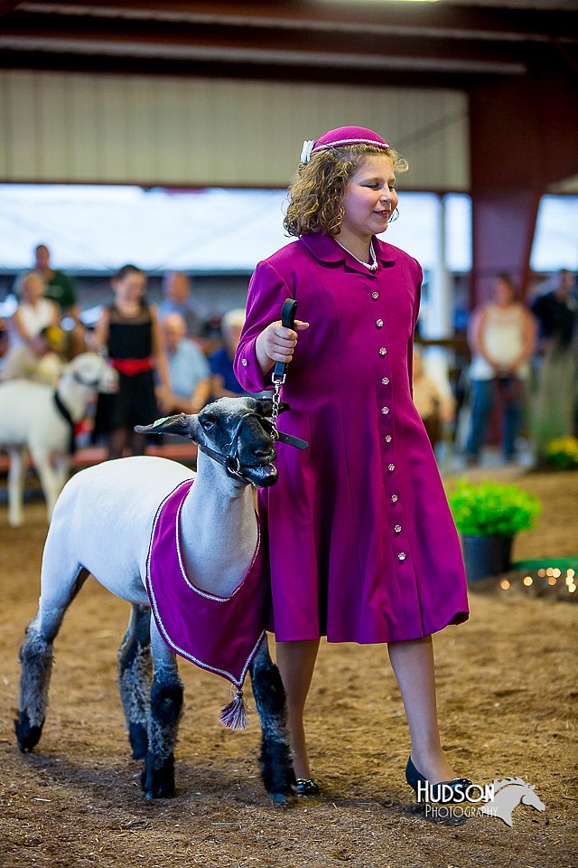 LCFair2016-7506.jpg