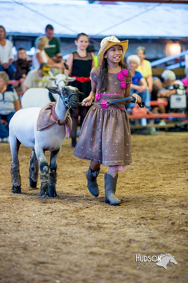 LCFair2016-7521.jpg