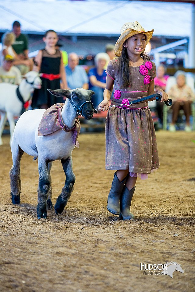 LCFair2016-7522.jpg