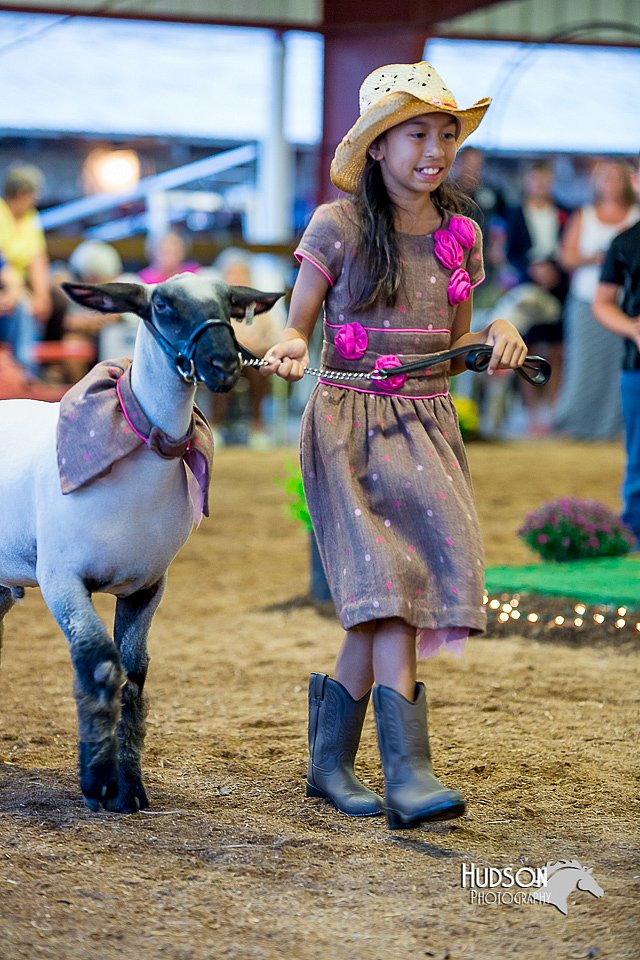 LCFair2016-7523.jpg