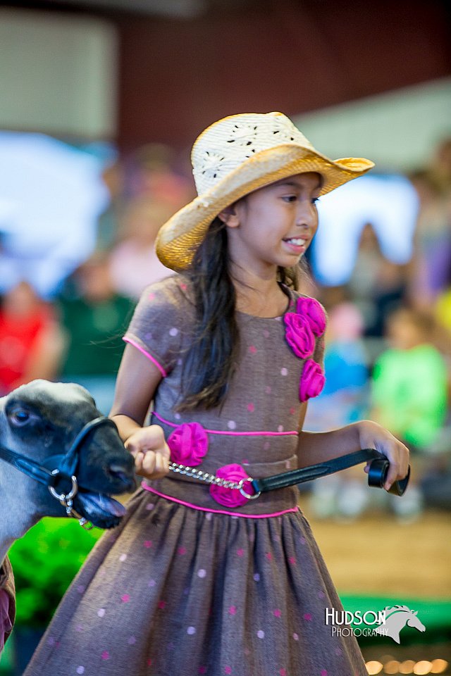 LCFair2016-7524.jpg