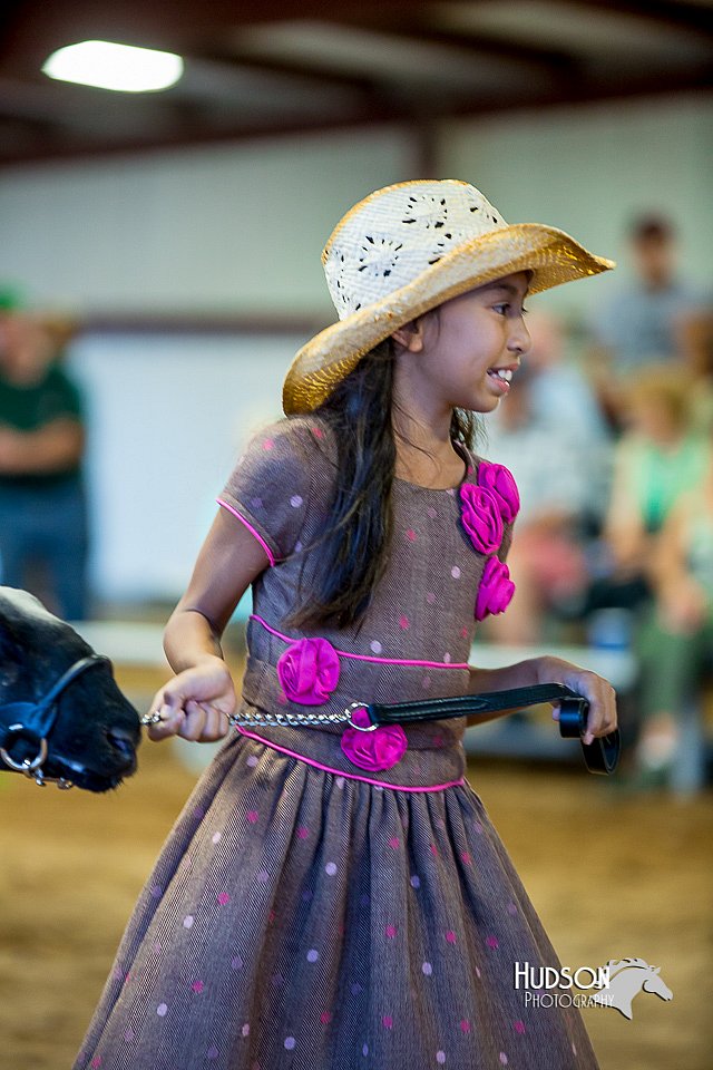 LCFair2016-7525.jpg