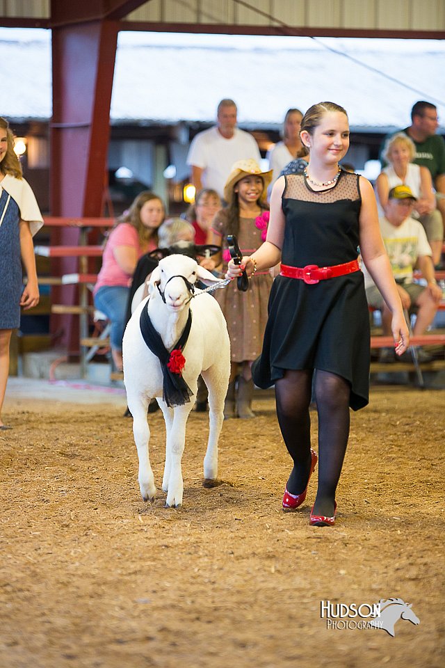 LCFair2016-7533.jpg