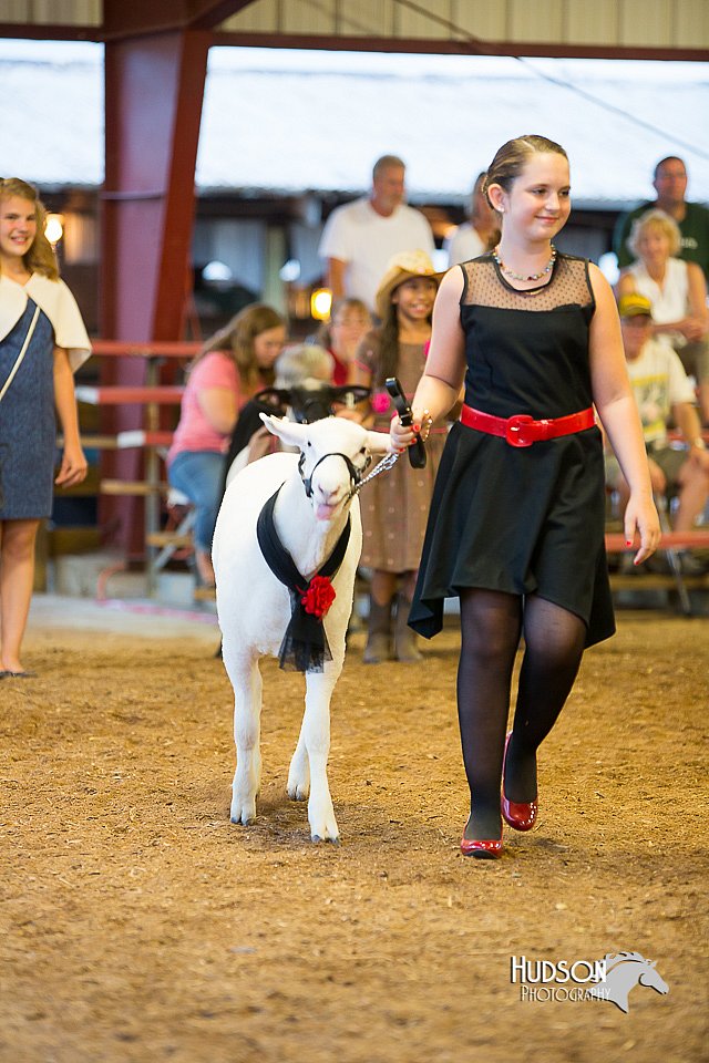 LCFair2016-7534.jpg
