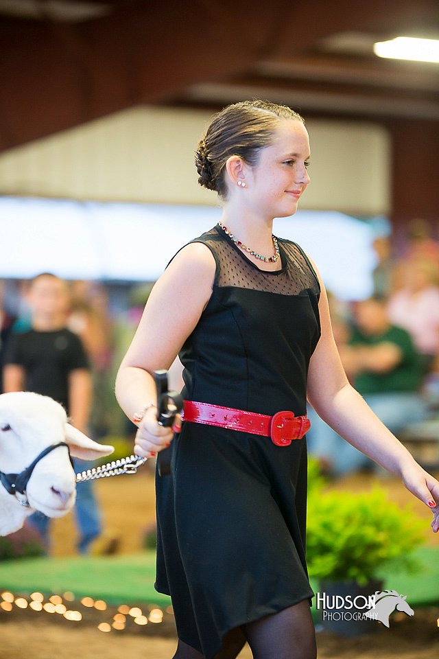 LCFair2016-7535.jpg