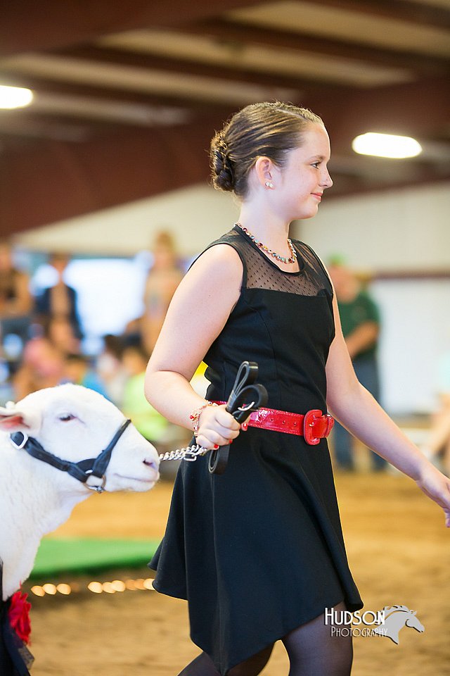 LCFair2016-7536.jpg