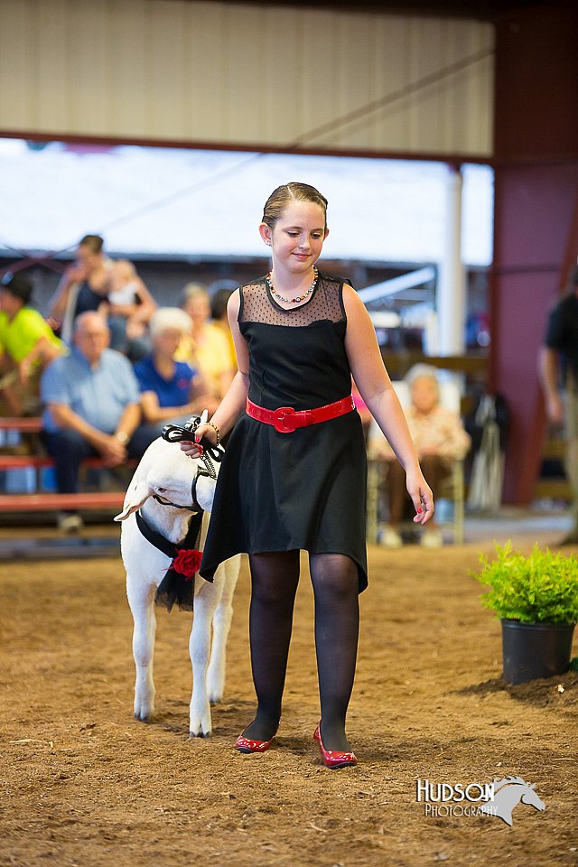 LCFair2016-7545.jpg