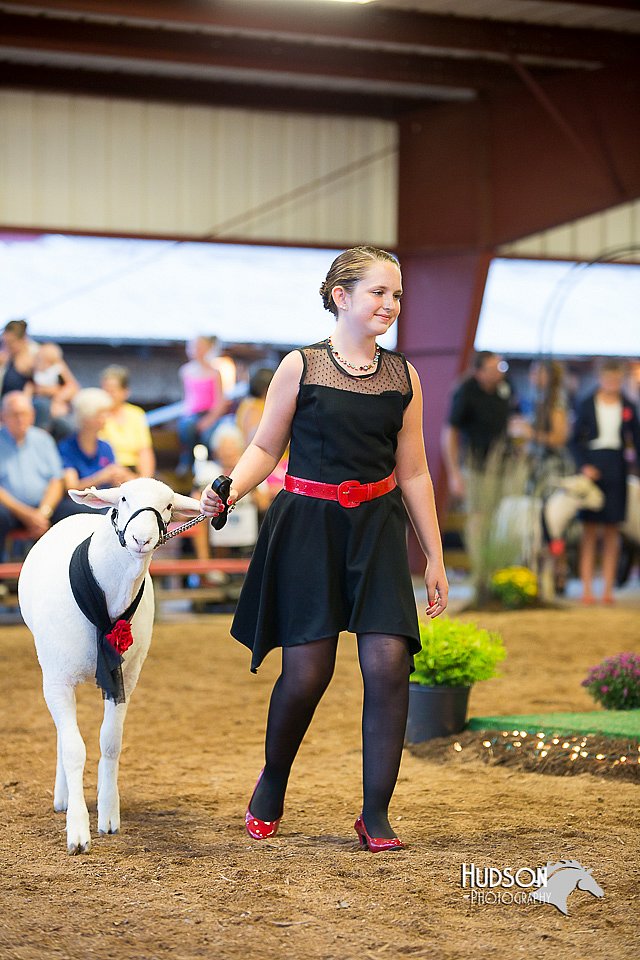 LCFair2016-7546.jpg