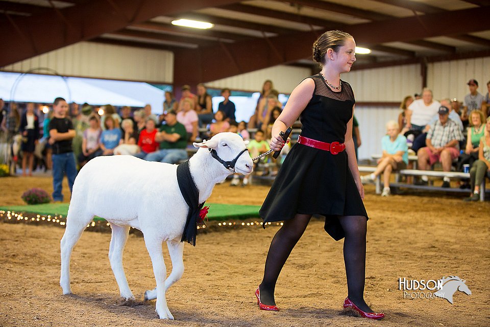 LCFair2016-7547.jpg