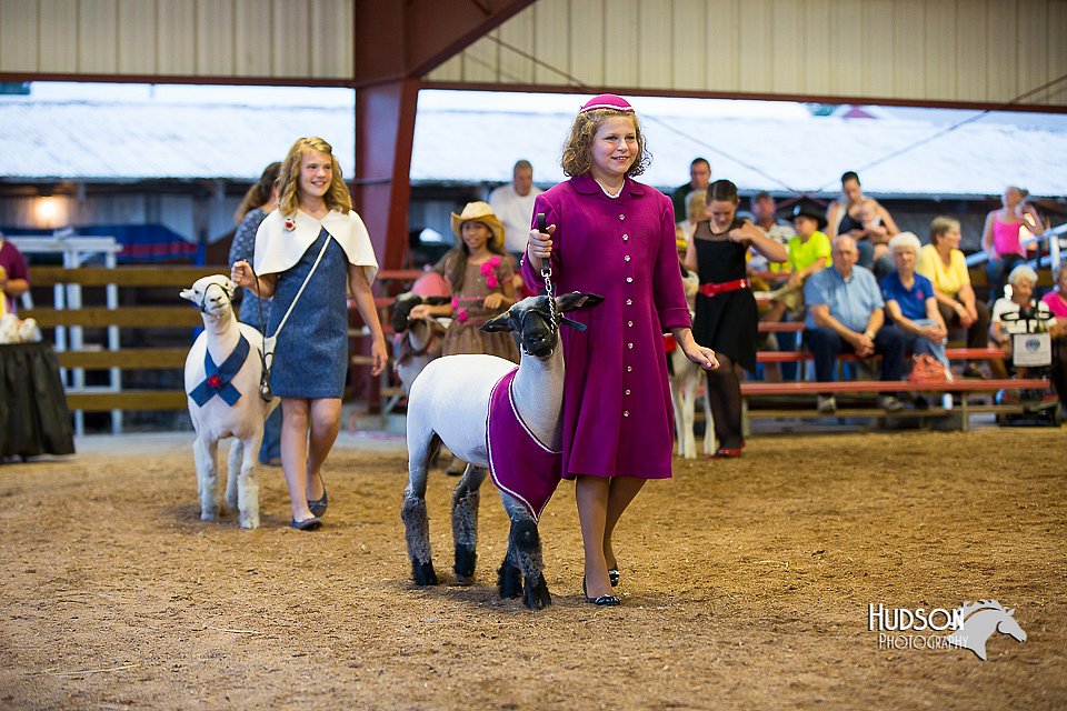 LCFair2016-7548.jpg
